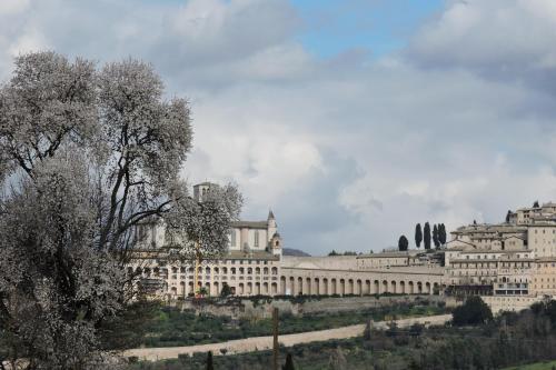 een groot wit gebouw bovenop een heuvel bij Da Franca in Assisi