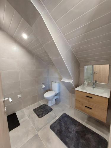 een badkamer met een toilet en een wastafel bij Famille House 201 in Chalon-sur-Saône