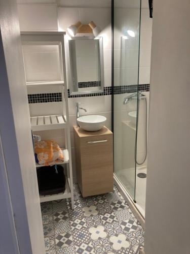 een kleine badkamer met een wastafel en een douche bij Superbe studio à Canet en Roussillon proche de la plage in Canet-en-Roussillon
