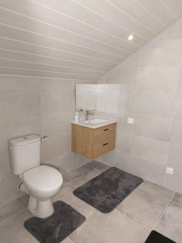 une salle de bain avec toilettes et lavabo dans l'établissement Famille House 202, à Chalon-sur-Saône