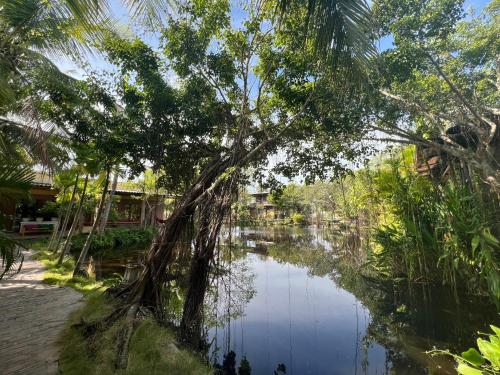 a river with a tree in the middle at LAGI FARMSTAY in La Gi