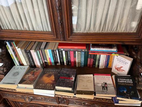 una libreria con un mucchio di libri di Conacul Paloși a Horezu