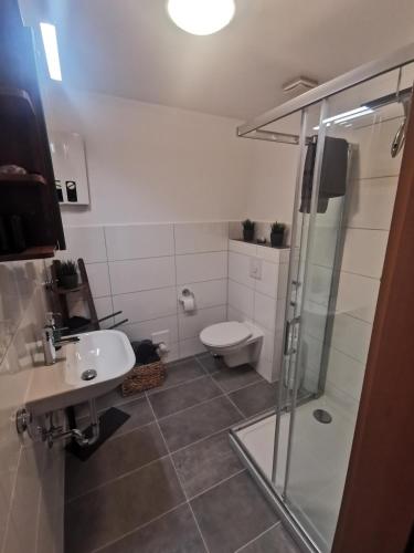 a bathroom with a shower and a toilet and a sink at Ferienwohnung Lüttje Delftblick in Emden