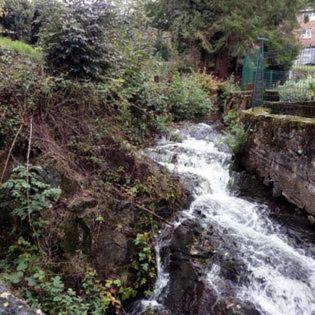 a waterfall on the side of a hill with trees at Centre Louis Delobbe in Olloy-sur-Viroin