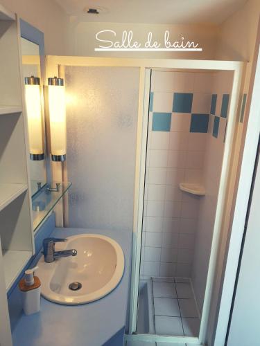 une salle de bain avec un lavabo et une douche dans l'établissement Maisonnette T2 Bord de mer Guidel Plage, à Guidel