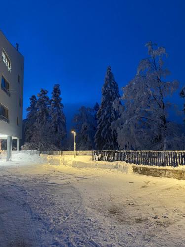 una calle cubierta de nieve frente a un edificio en Apartma Pohorje, en Hočko Pohorje