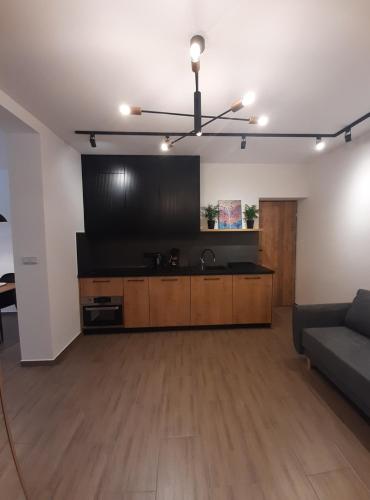 a living room with a couch and a kitchen at Apartament Asnyka Centrum in Nowy Sącz