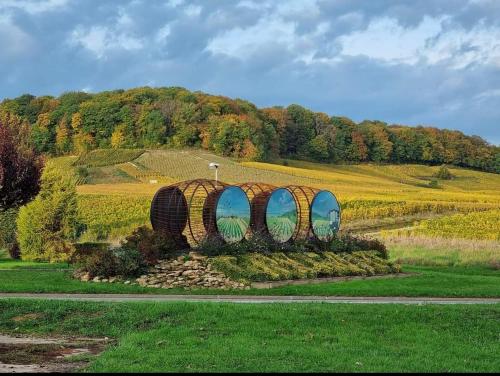 CramantにあるGîte en champagne Le Sarmentの畑中の家庭