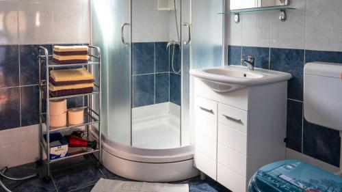 La salle de bains est pourvue d'une douche, d'un lavabo et de toilettes. dans l'établissement Apartments Dar - near lake, à Lokve