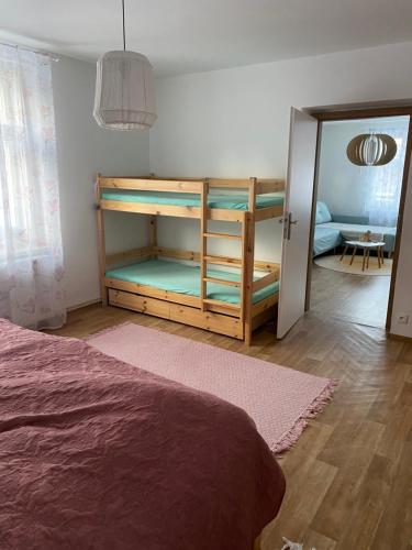 a bedroom with a bunk bed and a mirror at Vila na Kamenci in Teplice nad Metují