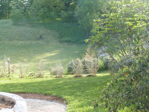 a yard with a field of grass and trees at La Gariotte in Esclauzels
