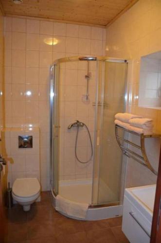 a bathroom with a shower and a toilet at Agroturystyka U Siwego in Rokitki