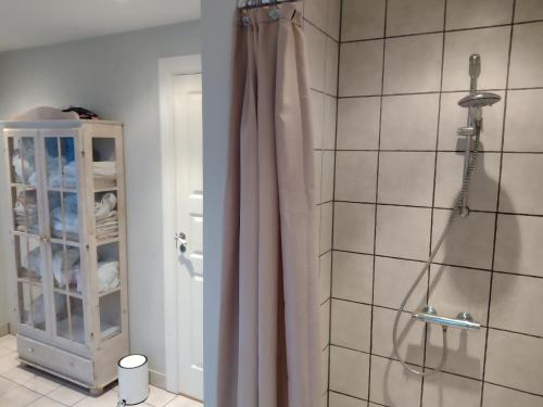 a bathroom with a shower with a shower curtain at Den Gamle Apotekergaard in Høng