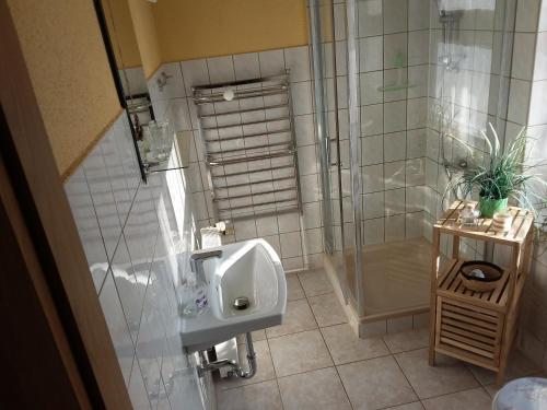a bathroom with a urinal and a shower at Ferìenwohnung Mende 1 in Lübbenau