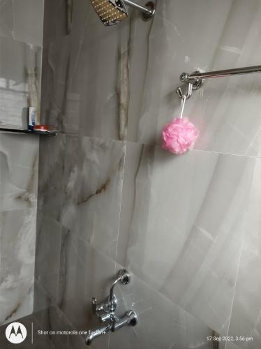 Un baño de Shiv- Vatsalya Homestay
