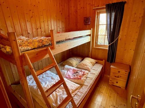 1 Schlafzimmer mit 2 Etagenbetten in einer Hütte in der Unterkunft Holiday home hatlestrand in Hatlestrand