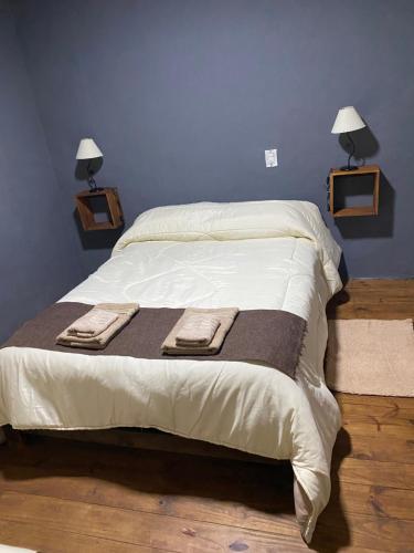 1 cama en un dormitorio con 2 lámparas en la pared en Departamentos Cachita en Carhué