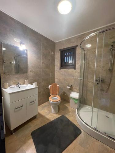 澤爾內甚蒂的住宿－Aroa Mountain，带淋浴、卫生间和盥洗盆的浴室