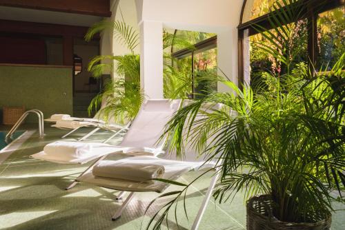 a room with white chairs and potted plants at Hotel Gasthof Brandstätter in Salzburg