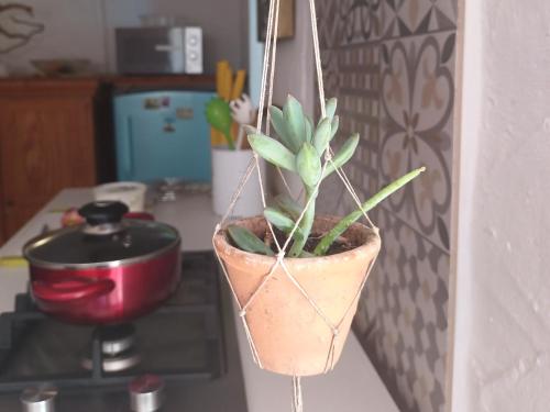 Cucina o angolo cottura di House on the Hill