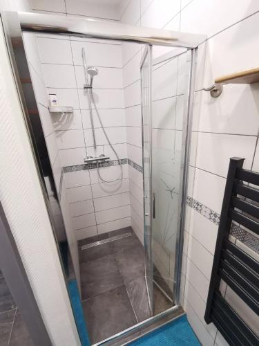 une douche avec une porte vitrée dans une salle de bain dans l'établissement Petit nid douillet ensolleillé, à Bouxwiller