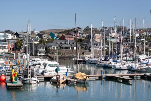a bunch of boats docked in a marina at The Kinsale 4 Center in Kinsale