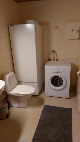 a small bathroom with a toilet and a washing machine at Apartment Lapväärtti, kaksio in Lapväärtti