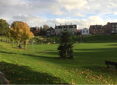 a park with a tree in the middle of a field at York City Homestays in York
