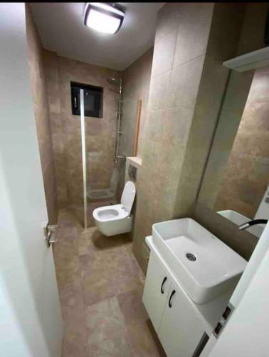 uma casa de banho com um WC e um lavatório em Enescu Flat em Suceava