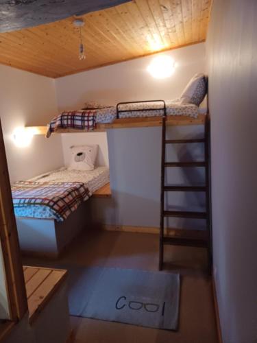 a small room with two bunk beds and a ladder at Wisteria Cottage at Gites de la Vienne in Chaunay