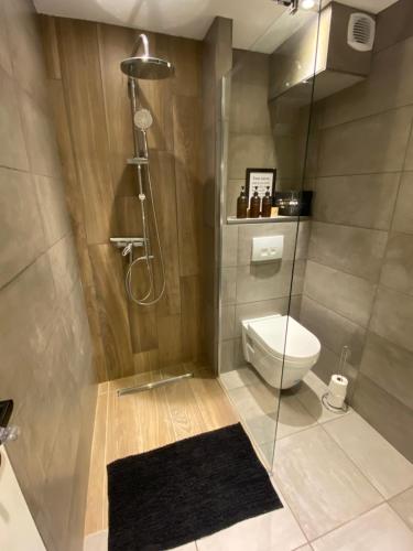 a bathroom with a shower and a toilet at Appartement douillet, proche gare, terrasse, cave in Saint-Jean-de-Maurienne