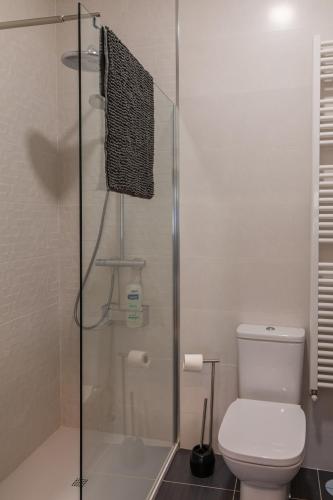 a bathroom with a toilet and a glass shower at Apartamento turístico 'Botica Moro' in Boñar