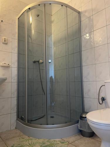 a shower with a glass door in a bathroom at Pod daglezją in Bronków