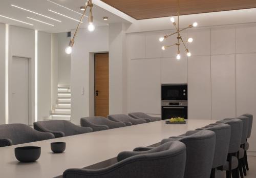 a conference room with a long table and chairs at Amphi Exclusive Residence in Somatás
