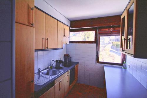 uma pequena cozinha com um lavatório e uma janela em Joli appartement ensoleillé à Vercorin em Vercorin