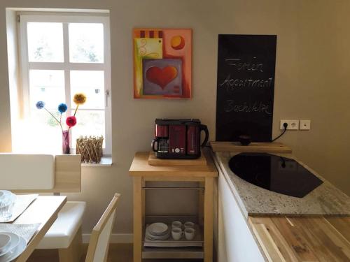 eine Küche mit einer Theke mit einem Waschbecken und einem Fenster in der Unterkunft Ferienappartement Bachstelze in Erfurt