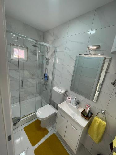 a bathroom with a shower and a toilet and a sink at LEDA Apartmani in Smederevo