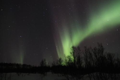 an image of the northern lights in the sky at XLyngen in Nord-Lenangen