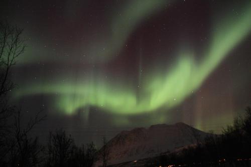 an image of the northern lights in the sky at XLyngen in Nord-Lenangen