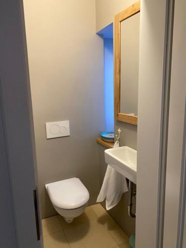 a bathroom with a toilet and a sink at Temelhof - Landhaus mit Sauna und Kamin in Sittersdorf