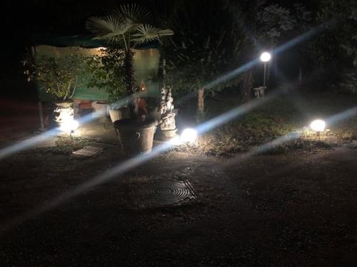 a group of fire hydrants in a park at night at Casa Stella Malpensa in Cassano Magnago