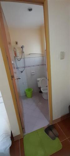 a bathroom with a toilet and a green rug at CORALYN'S PLACE Family of 5 in Boracay
