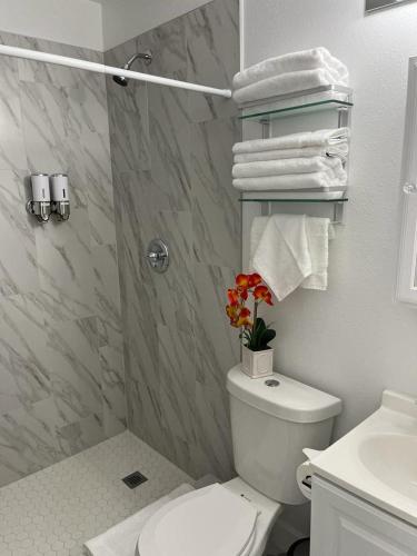 Gallery image of Incredible comfortable apartments near the airport and beaches in Tampa