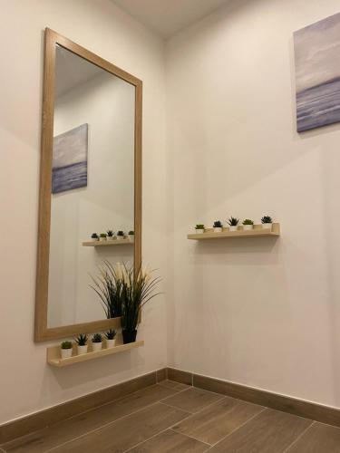 a mirror on a wall with plants in a room at Aquae Stays in St Paul's Bay
