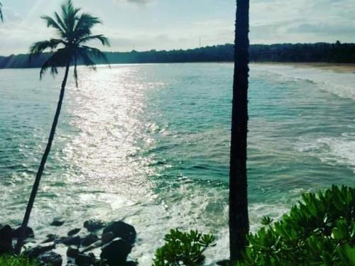 a view of a beach with a palm tree and the water at Talalla Wonder View in Talalla South