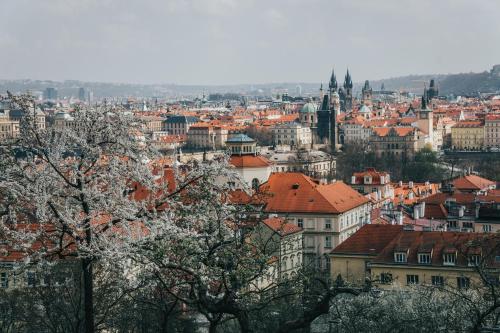 a view of a city with buildings and trees at Safestay Prague Charles Bridge in Prague