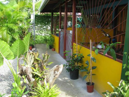 un jardín con muchas plantas y una pared amarilla en Caribbean Comfort, en Puerto Viejo