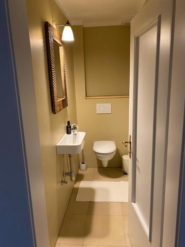 a bathroom with a white toilet and a sink at Temelhof - Landhaus mit Sauna und Kamin in Sittersdorf