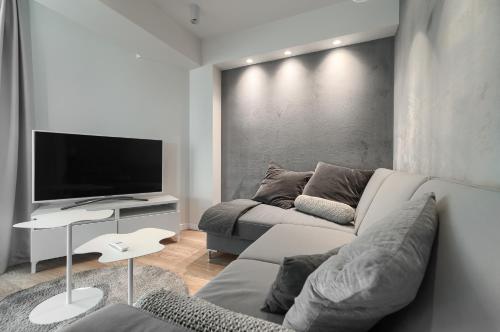 salon z kanapą i telewizorem z płaskim ekranem w obiekcie Apartamenty MUNN 6 Szczecin w Szczecinie