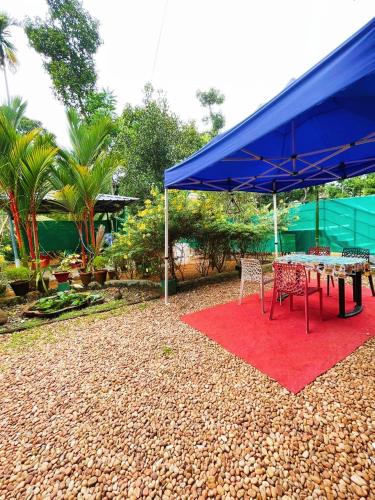 a table with a blue umbrella on a red rug at Kuttickattil Gardens Homestay in Kottayam